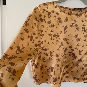 Zara Silky Cropped Long Sleeve Top